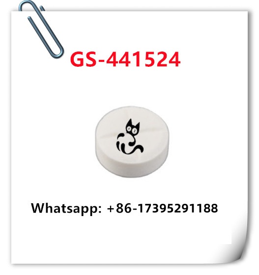 GS-441524 for treatment cat FIP